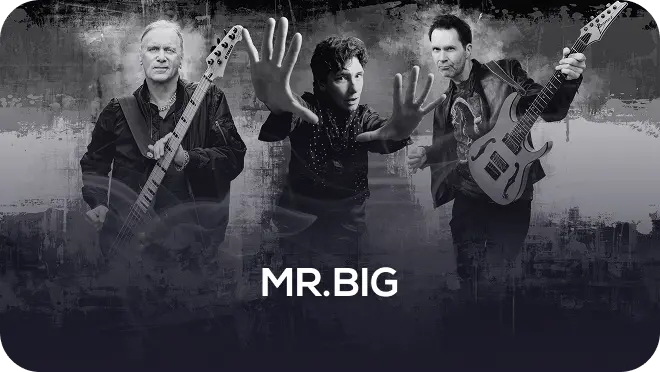 Mr.Big